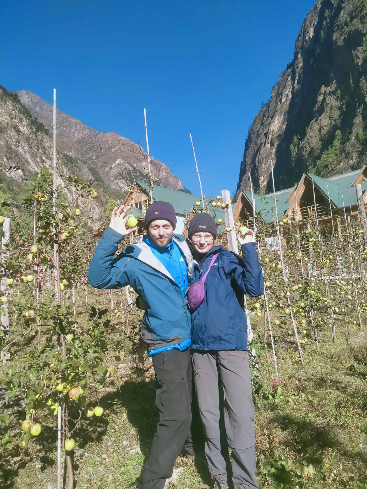 मनाङको स्याउ हेर्न दुई सयकाे टिकट