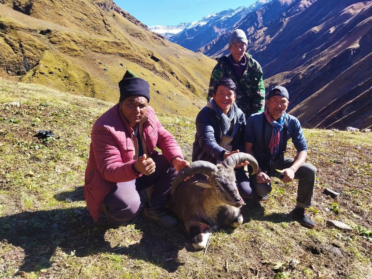 यसवर्ष ढोरपाटनमा चुके सिकारी