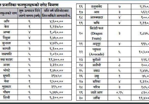 बूढीगण्डकी आयोजना प्रभावितले पाउने भए घरगोठ र फलफूलको क्षतिपूर्ति (यस्तो छ,फलफूलको दररेट)