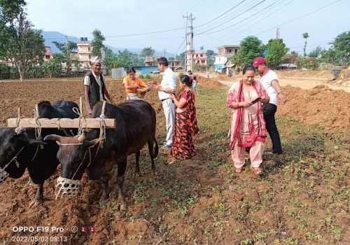 मतदातालाई मतदान गर्न सिकाउँदै गाउँपालिका उपाध्यक्षका उम्मेदवार कुमाल