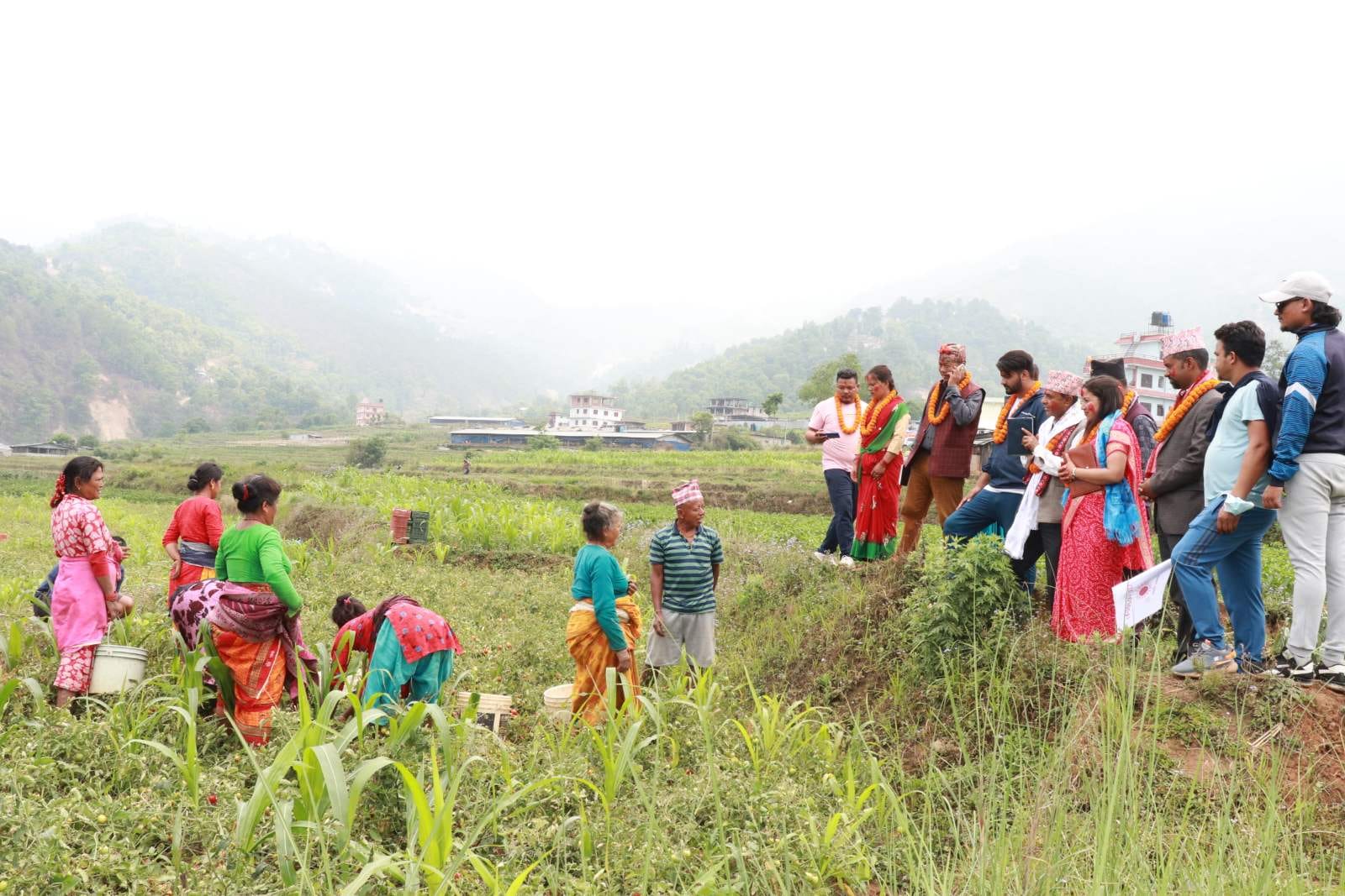 मतदाता भेटघाटमा व्यस्त एमालेका उम्मेदवारहरु