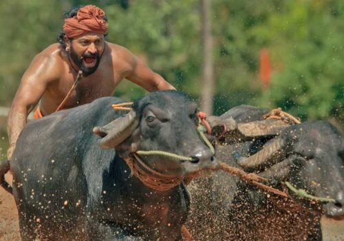 कन्तराले तोड्यो केजीएफ-२ को रेकर्ड