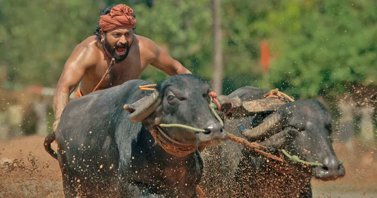 कन्तराले तोड्यो केजीएफ-२ को रेकर्ड