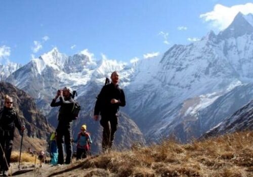 महामारीको प्रभाव घट्दै गएपछि पर्यटकको संख्या बढ्यो