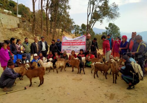 गंगाजमुना गाउँपालिकामा दुई दिने बाख्रा पालन तालिम सम्पन्न