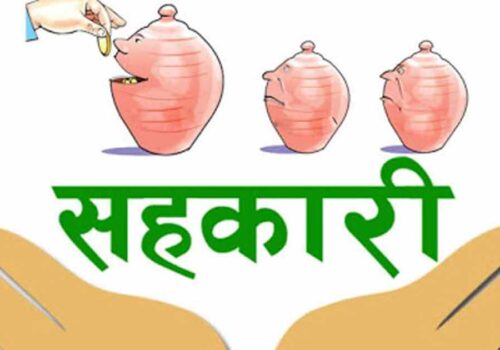 असललाई प्रोत्साहन र गलत गर्नेलाई कारबाही गरौँ : सहकारी अभियन्ता