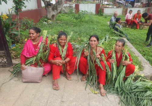 मकै सखाप पारेपछि बाँदर नियन्त्रणको माग राख्दै किसानको नाराबाजी