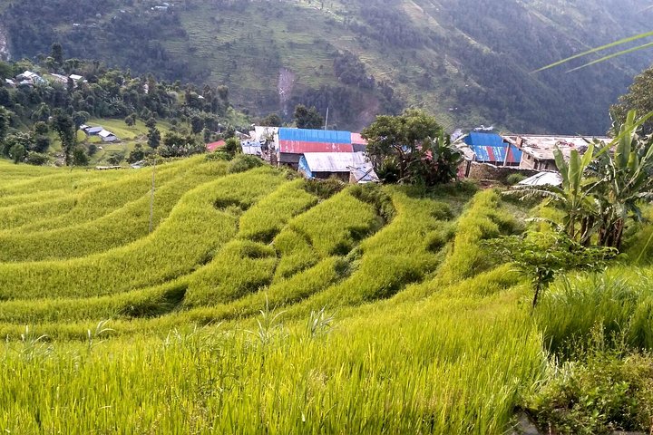 मगर संस्कृतिको केन्द्र जोगाउन अभ्यासरत छ सलाङ