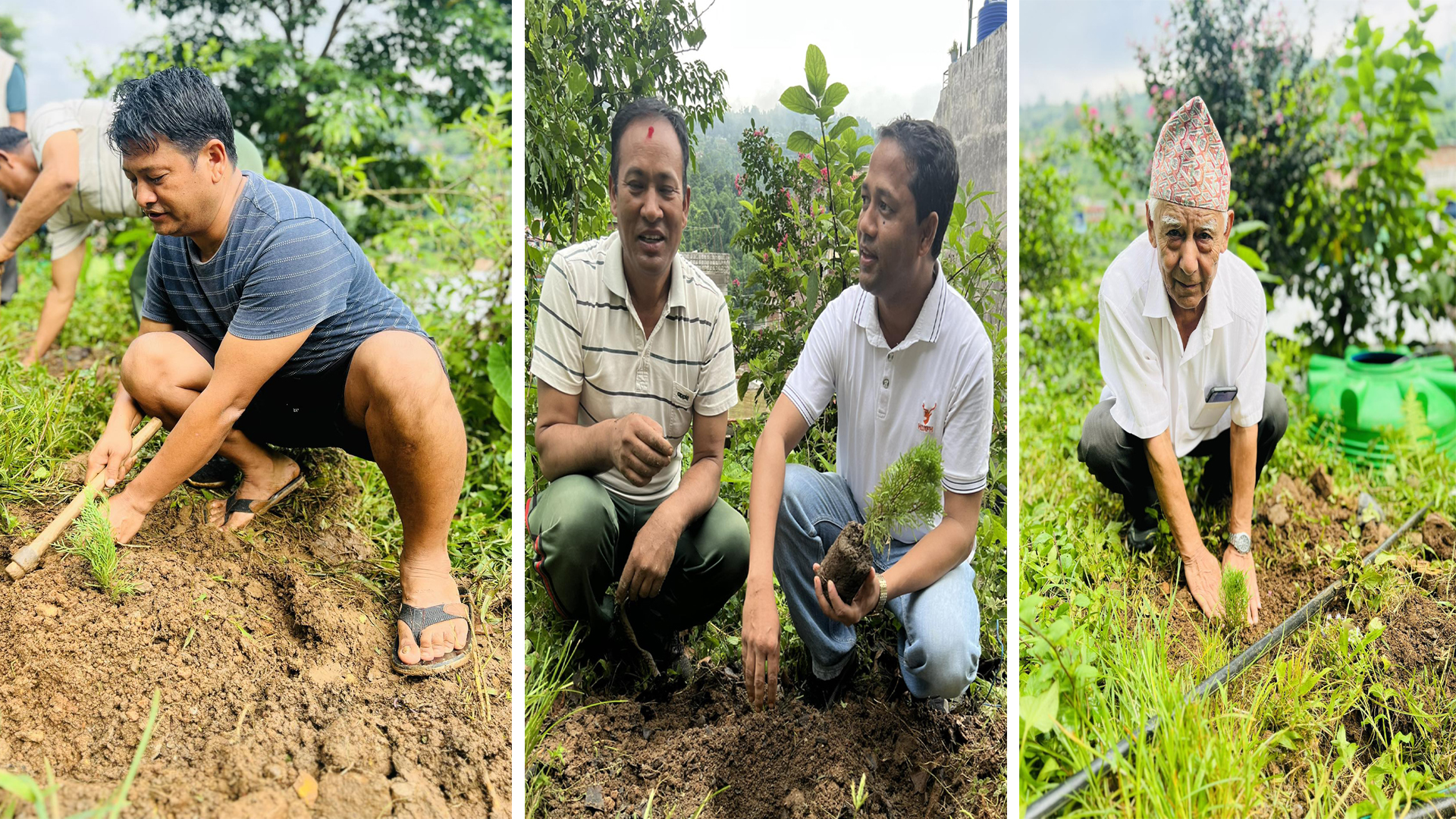 धादिङबेशी सुगमटोल शेराहा कान्लामा बृक्षारोपण