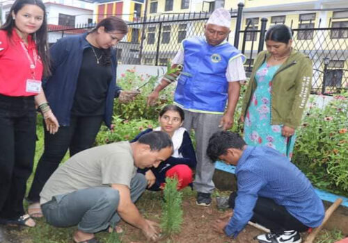 अन्तर्राष्ट्रिय युवा दिवसको अवसरमा बृक्षारोपण