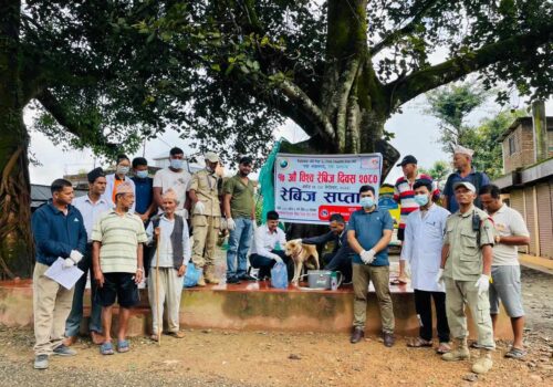 धादिङमा रेविज रोग विरुद्ध सप्ताहव्यापी खोप अभियान सुरु