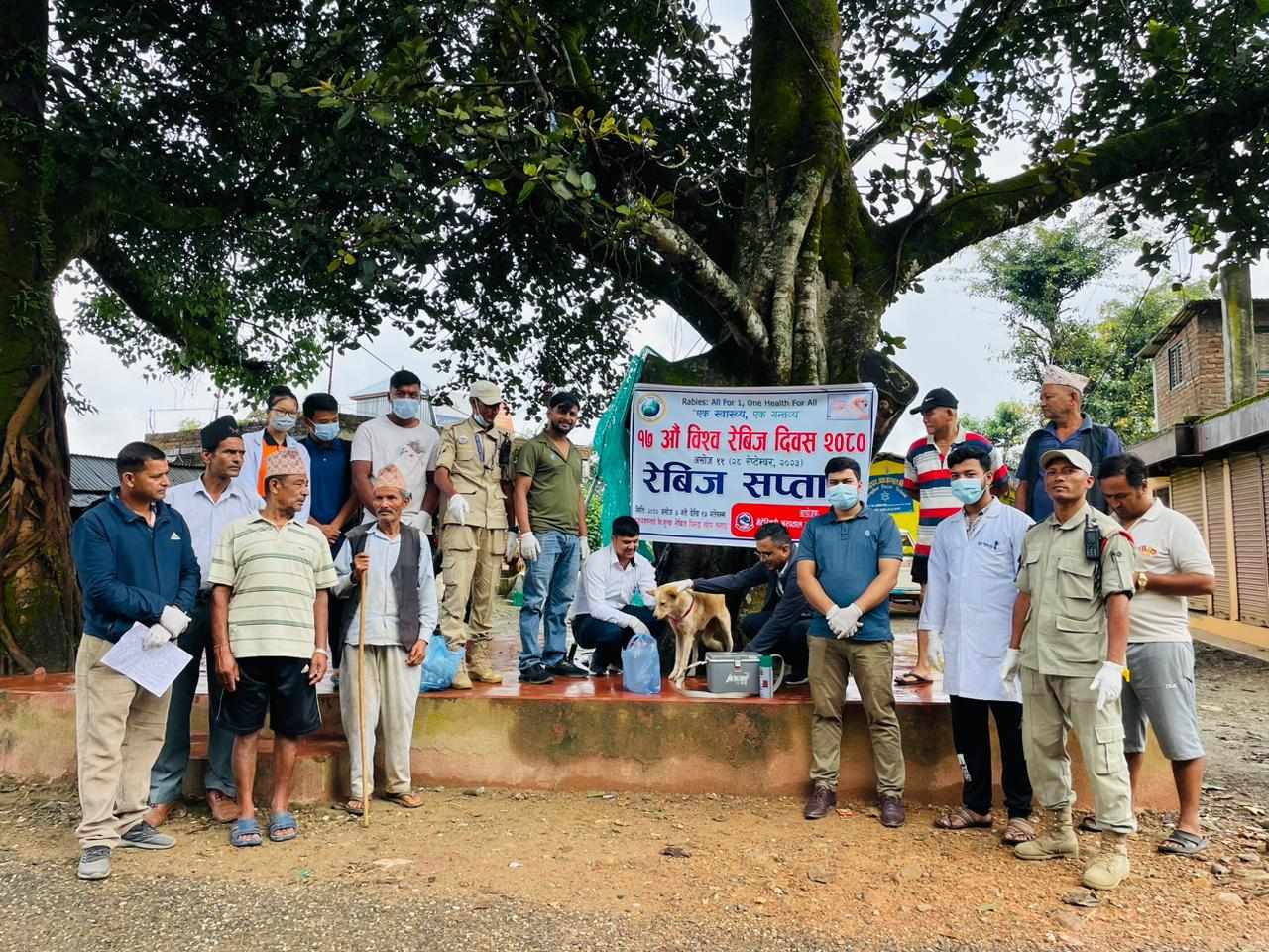 आज विश्व रेबिजविरुद्धको दिवस मनाइँदै,नीलकण्ठका एक सय भन्दा बढी कुकरलाई एन्टिरेविज सुई लगाईयो