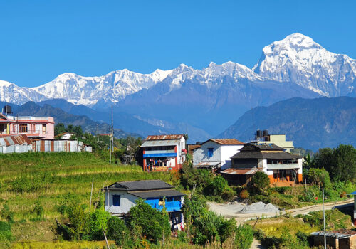 चाडपर्वको बेला गाउँमा नै रमाइलो