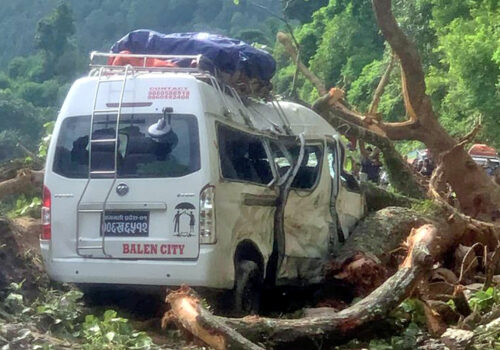 धादिङमा रूख ढलेर गुडिरहेको माइक्रो च्यापिँदा एक जनाको मृत्यु