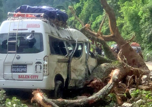 धादिङमा गुडिरहेको माइक्रो बसमाथि रुख ढल्दा नौ जना घाइते