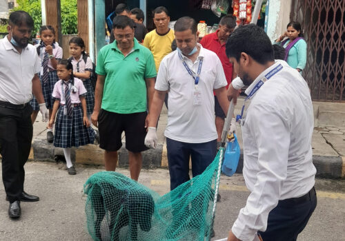 १८ औँ विश्व रेविज दिवसको अवसरमा धादिङमा सप्ताहव्यापी खोप अभियान सुरु